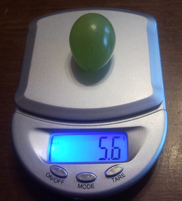 Plik:Inga Dorieńskiego 26mm, 5,6g..jpg