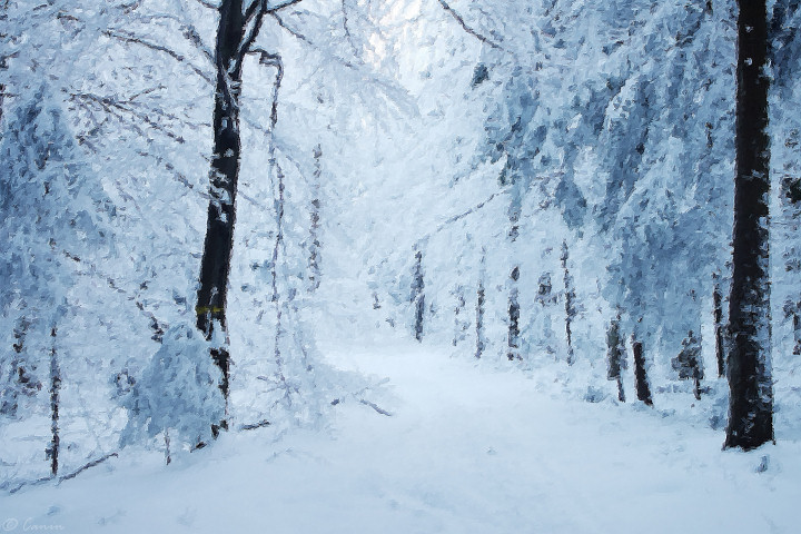 Plik:Zima Magura.jpg