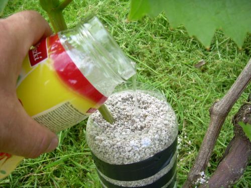 Plik:Krok 8 woda.jpg