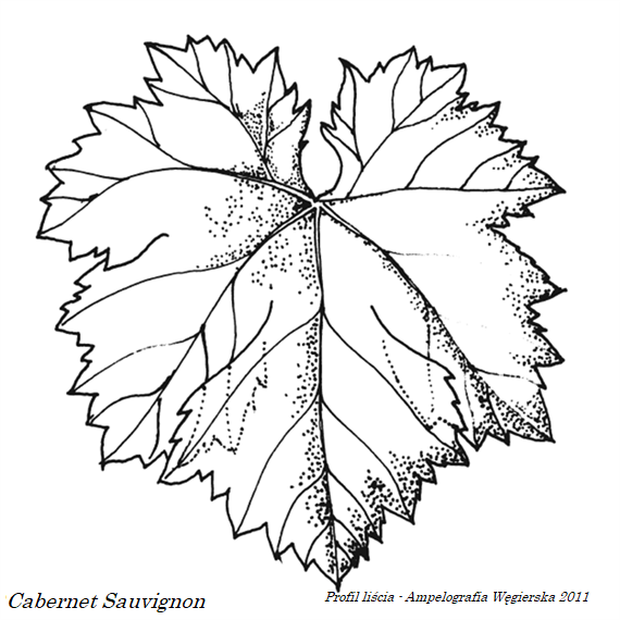 Plik:2011 CS prof L.png