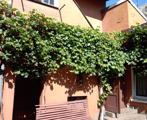 Plik:IMG 20190726 104049.jpg