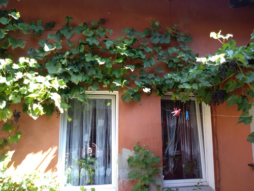 Plik:5ściana 20190726.jpg