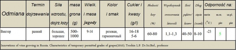 Plik:Wiktor-param.JPG