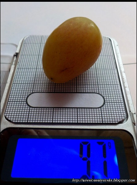 Plik:Aladdin jagoda1-1-.JPG