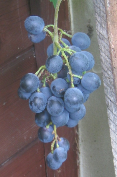 Plik:MB 01092022.JPG