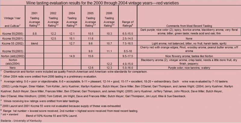 Plik:Testy-Kozma 55 wino.JPG