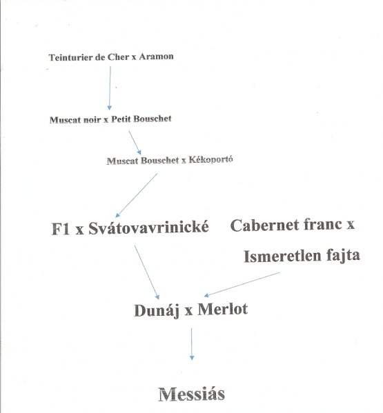 Plik:Messias genealogia.png