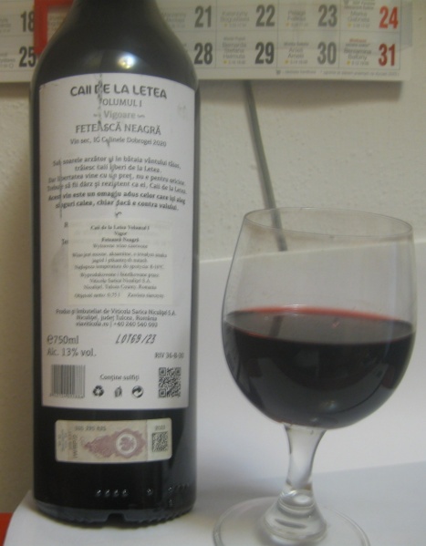 Plik:Feteasca Neagra 2020.JPG