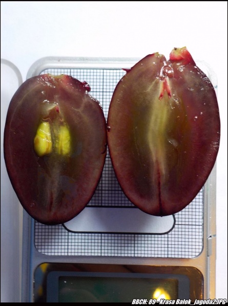 Plik:89 - Krasa Bałok jagoda2.JPG